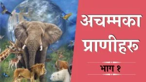 The Amazing Creatures Part 1